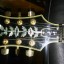 Guitarra Epiphone Joe Pass Emperor II Pro con pastillas Benedetto PAF Standard Mount Humbucker Gold