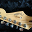 Fender Stratocaster American Stand