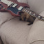 Gibson sg 61 reissue con vibrola maestro
