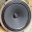 Dos Celestion G12M-25 Greenback 16 Ohm