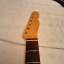 Mástil All Parts Fat Telecaster convexo. Rosewood 9,5". Leer