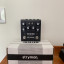 Strymon Iridium