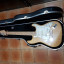 Fender stratocaster USA EMG DG-20 Gilmour