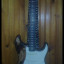 Stratocaster Fender by Snail Performer