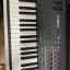 Teclado Yamaha moxf8