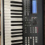 Teclado Yamaha moxf8