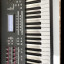 Teclado Yamaha moxf8