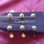 Tanglewood tw170 as (y cambio)