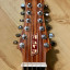 Weissenborn 12 cuerdas nura guitars + estuche