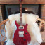 PRS SE Standard