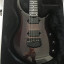 Music Man Majesty Monarchy Black Night