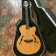 Estuche de guitarra ABS para 339
