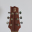 Acustica Alhambra J1/E3