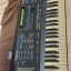 Roland E-70 y Casiotone