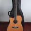 Guitarra acustica con cutaway zurdo