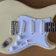 PRS SE Silver Sky Moon White