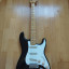 Stratocaster Partcaster