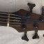 Cort B5FL fretless 5 cuerdas