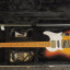 Fender Telecaster Thinline Special (Japan). Leer dentro