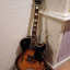 Guitarra de caja Jazz Rock Washburn J3