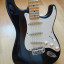 Stratocaster Partcaster