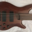 Cort B5FL fretless 5 cuerdas