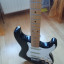 Stratocaster Partcaster