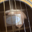 Cambio o vendo guitarra taylor 510 e
