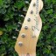 Fender Japan TL-69 BFL Paisley de 2006