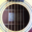 Vendo: Guitarra Taylor 210E electroacustica