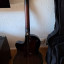 Guitarra clàssica Ibanez