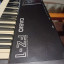 Casio FZ-1