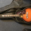 Epiphone EJ-200 VS Sunburst (2009)