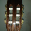 Guitarra Clásica Alhambra 10 C