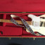 Fender Telecaster Standard MIM Arctic White + E-Guitar Case Tweed