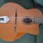 Guitarra manouche Richwood RM-70 NT