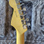 Fender Stratocaster Am Pro II HSS (CAMBIOS dentro)