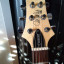 Guitarra PRS SE Custom 24-8 Eriza Green