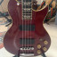 Washburn wB-66