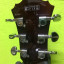 ibanez AS73T