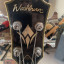 Washburn wB-66