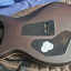 PRS SE DGT Exotic Laurel Burl