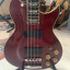 Washburn WB-66