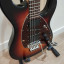 MusicMan Steve Morse