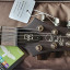 PRS SE DGT Exotic Laurel Burl