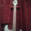 Fender Stratocaster 1980 "the Strat"