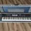 Korg Tr + flightcase