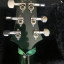 PRS Custom 22 2015 Verde Jade + Flightcase