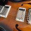 PRS SE Hollowbody Standard