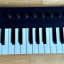 Teclado MIDI Native KOMPLETE KONTROL M32